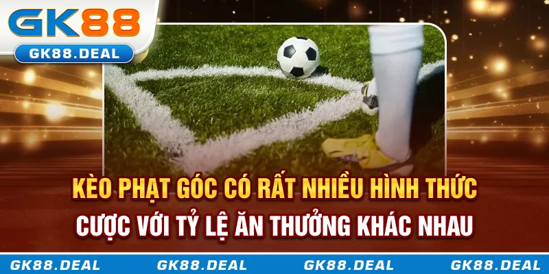 Kèo phạt góc có rất nhiều hình thức cược với tỷ lệ ăn thưởng khác nhau